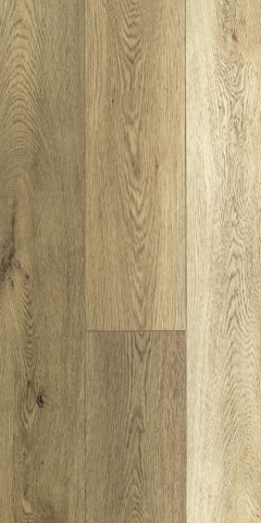 Mountain Oak